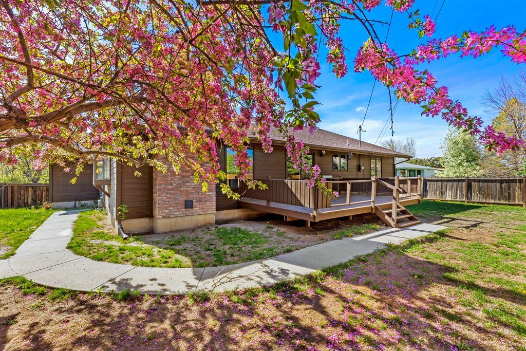 Flowering tree and deck at 2223 Beech Drive, Great Falls, MT